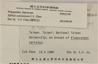 雲南無扣菌藏品圖，第4張