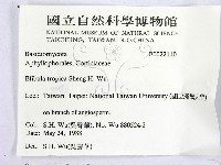 登錄號:F0022110藏品圖，第2張