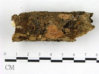 登錄號:F0022110藏品圖，第1張