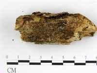 登錄號:F0022110藏品圖，第3張