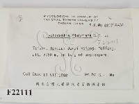 登錄號:F0022111藏品圖，第2張