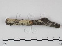登錄號:F0022111藏品圖，第3張