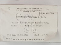 登錄號:F0022112藏品圖，第2張