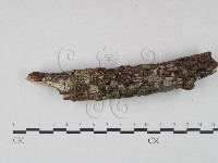 登錄號:F0022112藏品圖，第1張