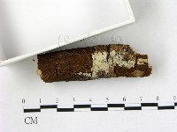 登錄號:F0022113藏品圖，第3張