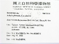 登錄號:F0022114藏品圖，第2張