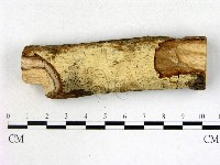 登錄號:F0022115藏品圖，第1張