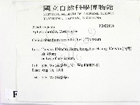 登錄號:F0022116藏品圖，第2張