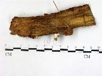 登錄號:F0022116藏品圖，第3張