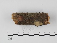 登錄號:F0022118藏品圖，第3張