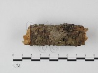 登錄號:F0022118藏品圖，第4張