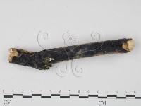 登錄號:F0022119藏品圖，第3張