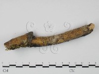 登錄號:F0022119藏品圖，第4張