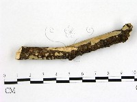 登錄號:F0022120藏品圖，第1張