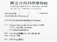 登錄號:F0022124藏品圖，第2張