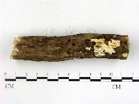 登錄號:F0022124藏品圖，第1張