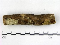 登錄號:F0022124藏品圖，第3張