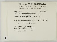 登錄號:F0022126藏品圖，第2張