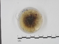 登錄號:F0022126藏品圖，第1張