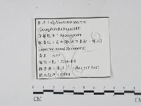 登錄號:F0022126藏品圖，第3張