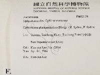 登錄號:F0022128藏品圖，第2張