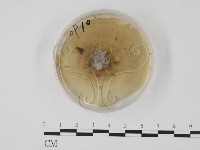 登錄號:F0022128藏品圖，第1張