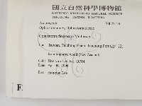 登錄號:F0022129藏品圖，第2張