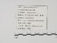 登錄號:F0022130藏品圖，第3張