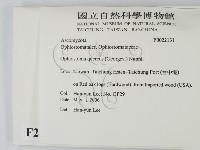 登錄號:F0022131藏品圖，第2張