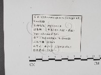 登錄號:F0022131藏品圖，第3張