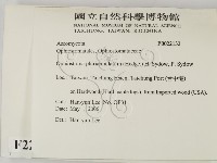 登錄號:F0022132藏品圖，第2張