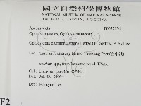 登錄號:F0022134藏品圖，第2張