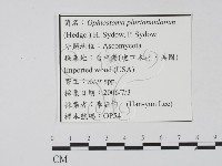 登錄號:F0022134藏品圖，第3張