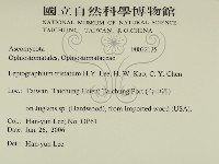 登錄號:F0022135藏品圖，第2張