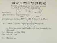 登錄號:F0022136藏品圖，第2張