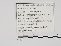 登錄號:F0022136藏品圖，第3張