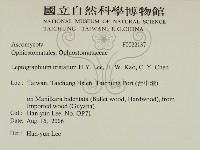 登錄號:F0022137藏品圖，第2張