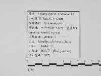 登錄號:F0022137藏品圖，第3張