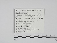 登錄號:F0022138藏品圖，第3張