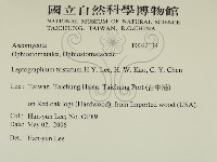 登錄號:F0022139藏品圖，第2張