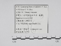 登錄號:F0022139藏品圖，第3張