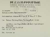 登錄號:F0022140藏品圖，第2張