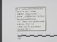 登錄號:F0022140藏品圖，第3張