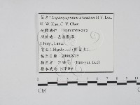 登錄號:F0022141藏品圖，第3張