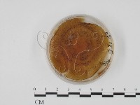 登錄號:F0022143藏品圖，第1張