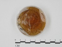 登錄號:F0022143藏品圖，第4張