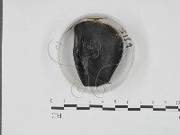登錄號:F0022144藏品圖，第1張