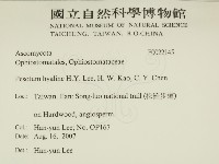 登錄號:F0022145藏品圖，第2張