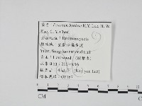 登錄號:F0022145藏品圖，第3張