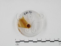 登錄號:F0022145藏品圖，第4張